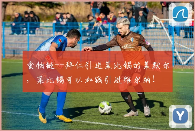 食物链--拜仁引进莱比锡的莱默尔，莱比锡可以加钱引进维尔纳！