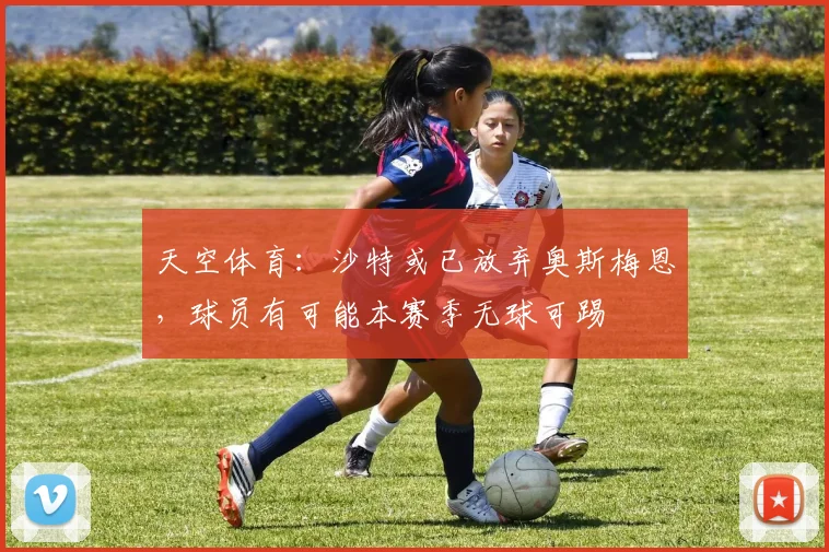 天空体育：沙特或已放弃奥斯梅恩，球员有可能本赛季无球可踢
